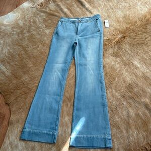 Anthropologie Pilcro and the Letterpress jeans